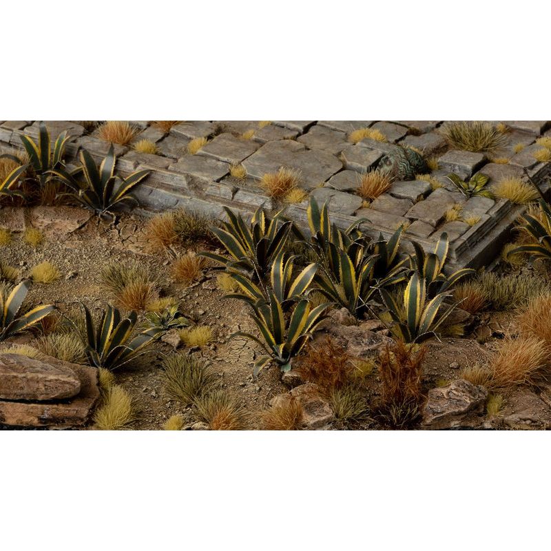 Agave - Gamers Grass